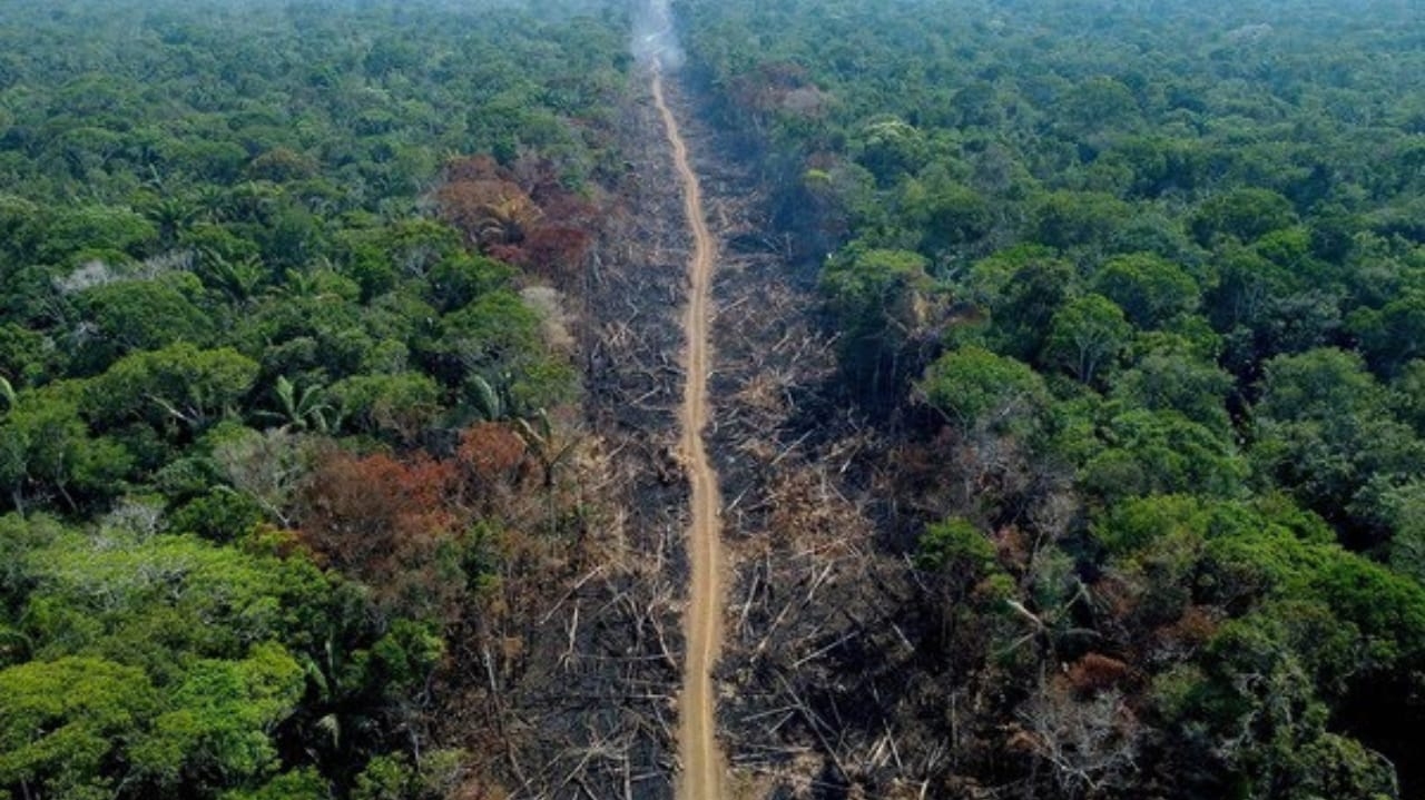 Dino afirma que governo ampliará Força Nacional para combater incêndios no AM Lorena Bueri