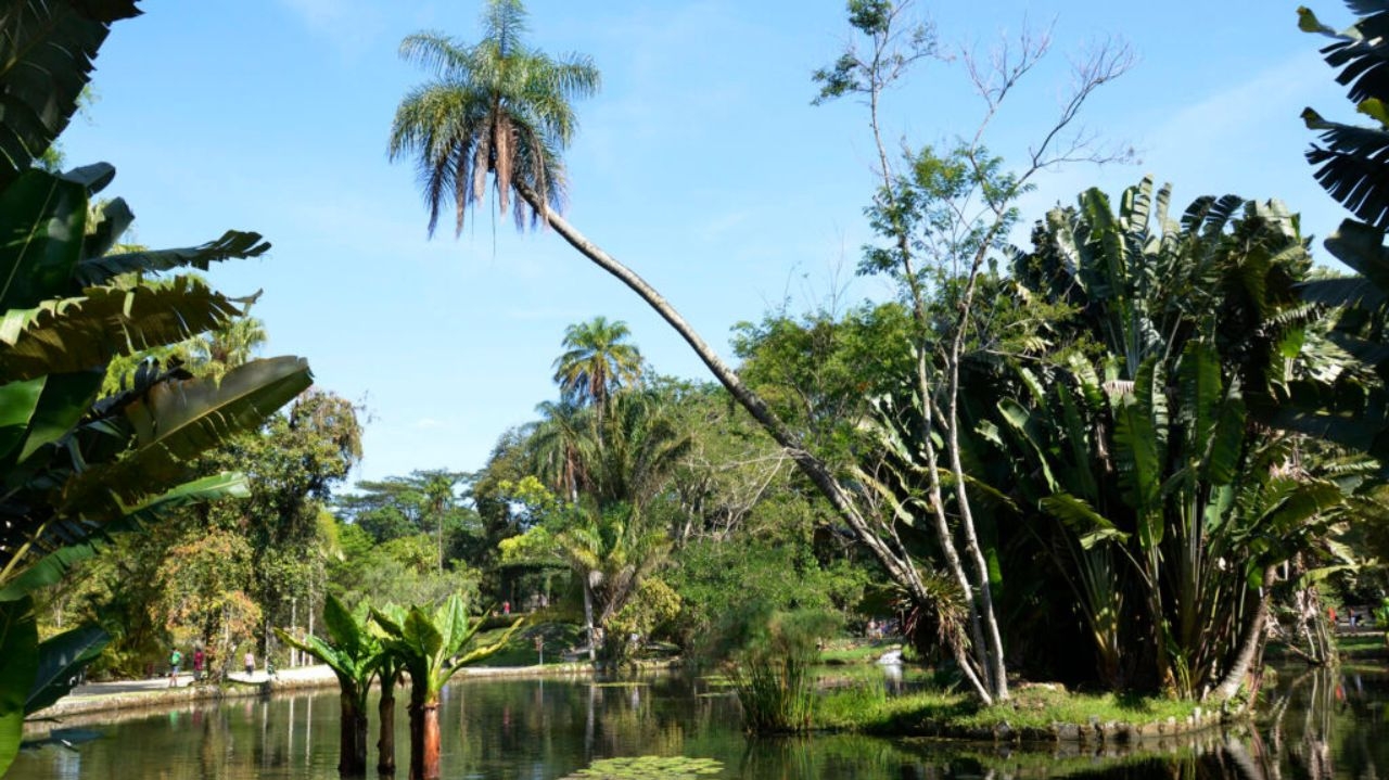 Evento de Ciência e Tecnologia tem abertura no Jardim Botânico do Rio de Janeiro neste sábado Lorena Bueri