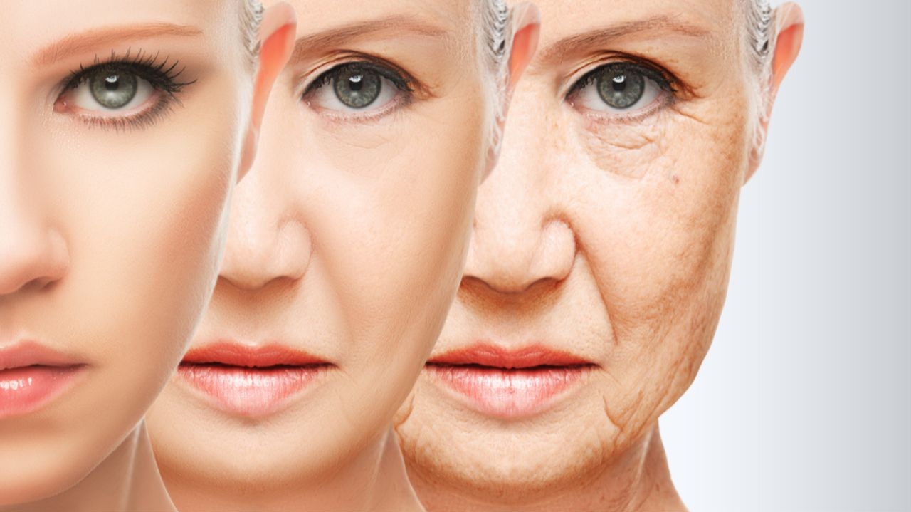 Células senescentes e o impacto delas no envelhecimento da pele Lorena Bueri