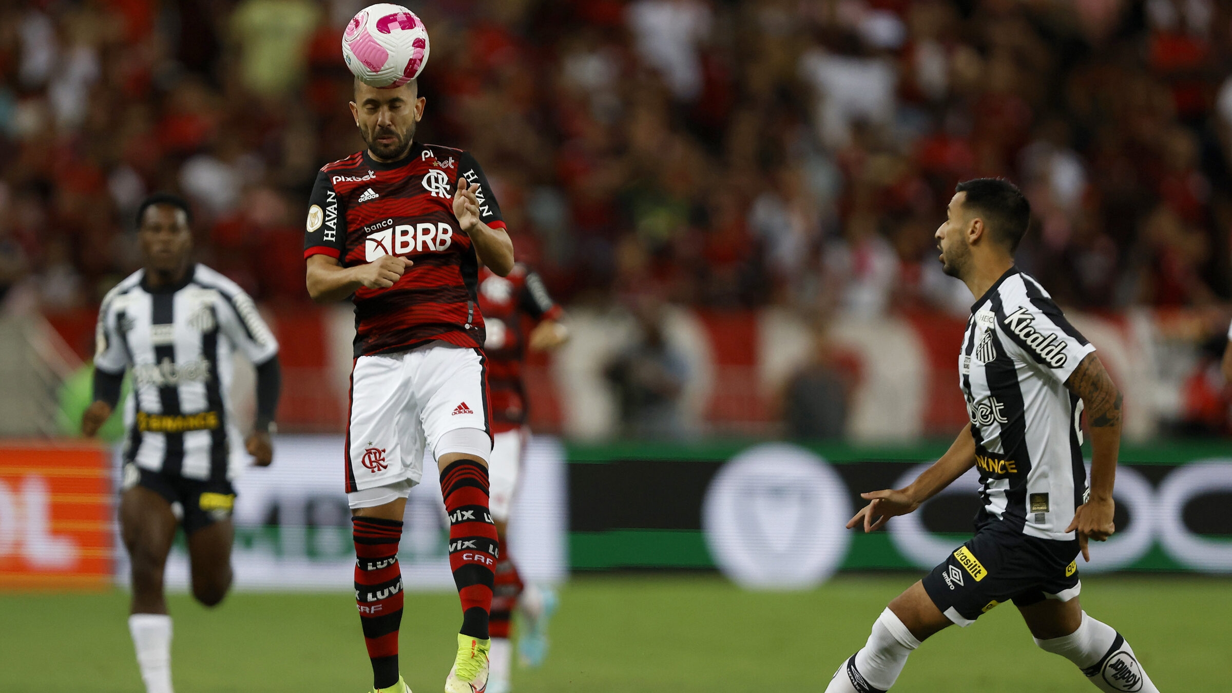 FLAMENGO X SANTOS TRANSMISSÃO AO VIVO DIRETO DO MANÉ GARRINCHA -  BRASILEIRÃO 2023 - RODADA 31 