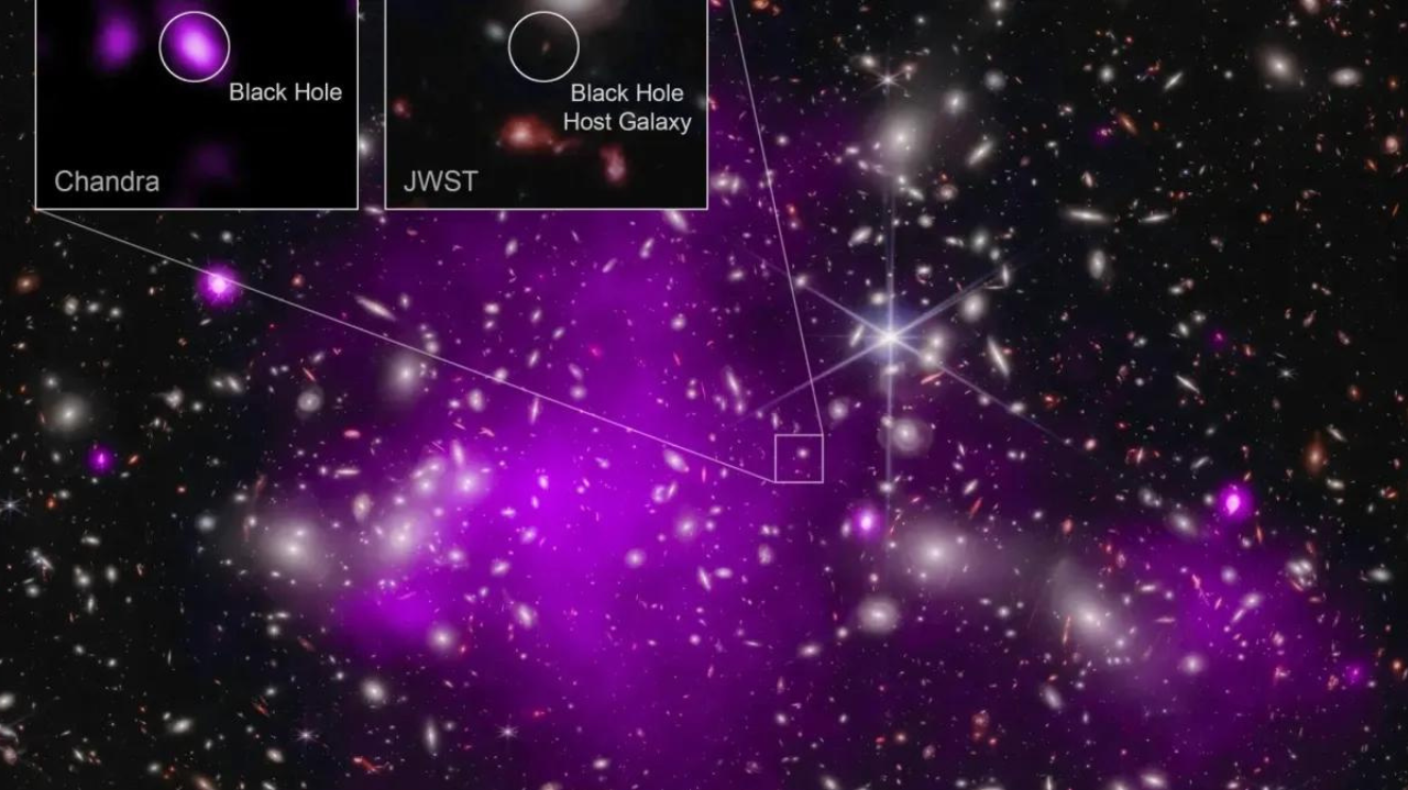Descoberta de buraco negro distante revoluciona astronomia Lorena Bueri