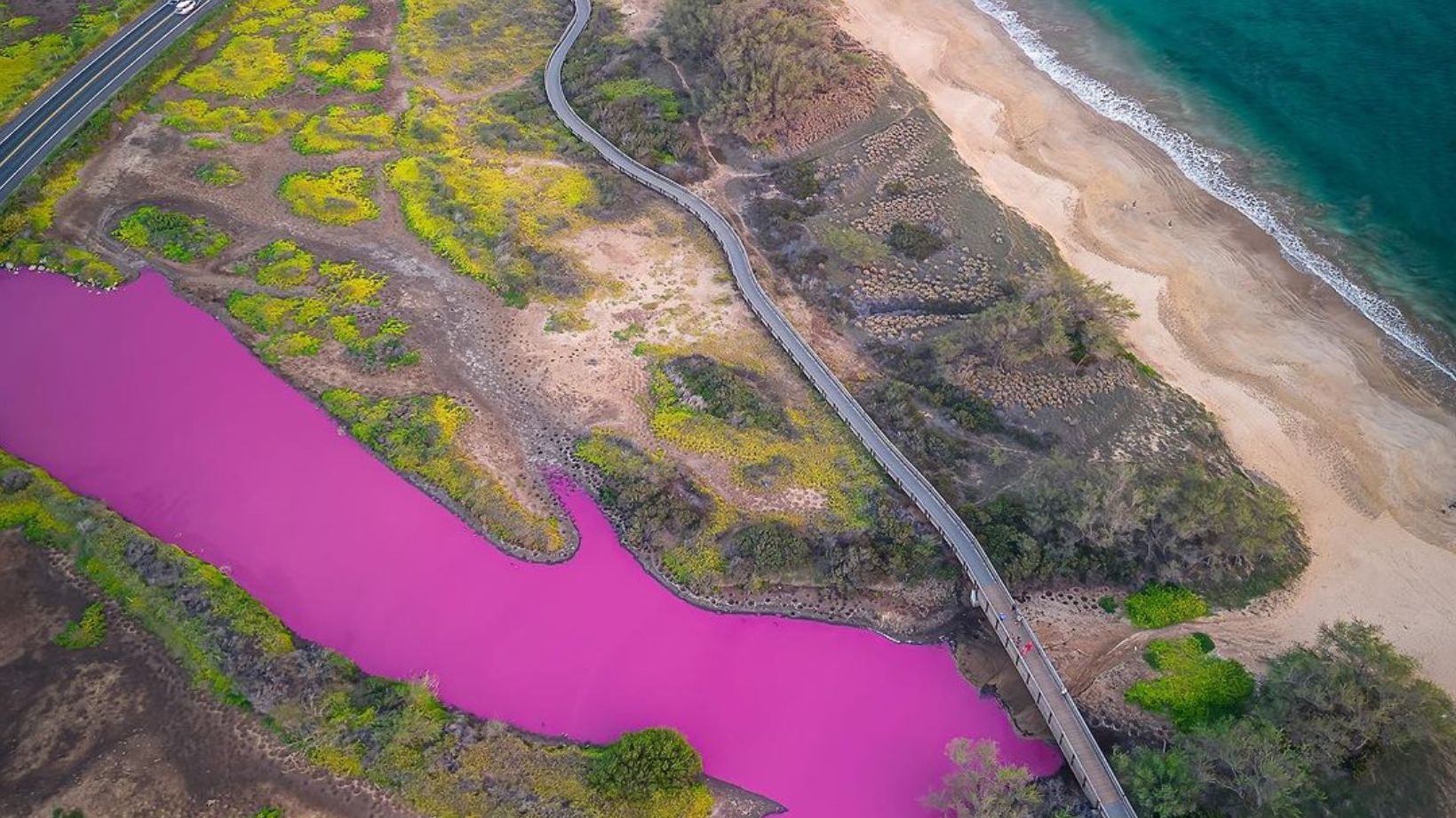 Lago havaiano adquire coloração rosa após seca extrema Lorena Bueri