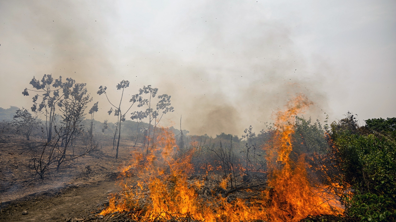 Inpe relata 107 incêndios florestais na Bahia em apenas 48 horas Lorena Bueri