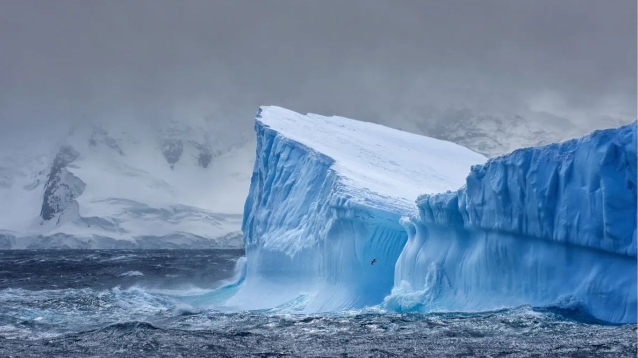 Maior iceberg do mundo entra em movimento após 30 anos Lorena Bueri