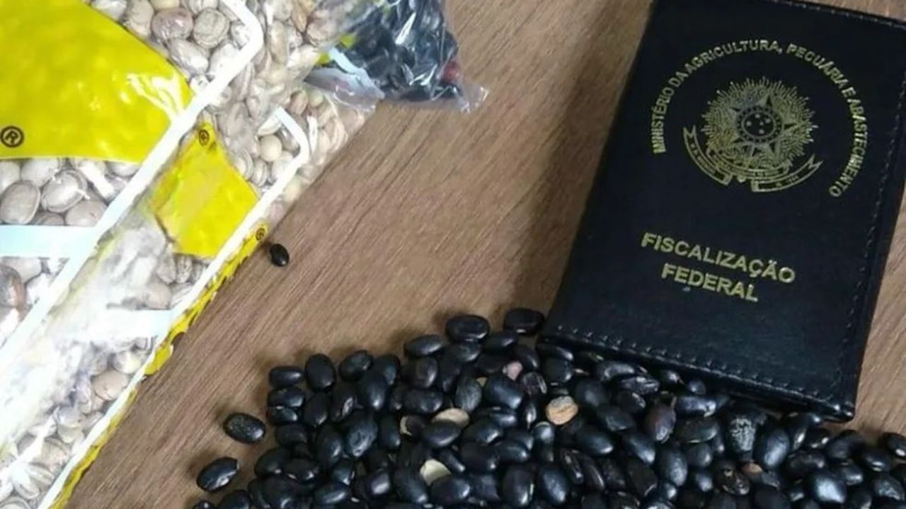 Ministério da Agricultura apreende grande quantidade de azeite e feijão fraudulentos em São Paulo Lorena Bueri