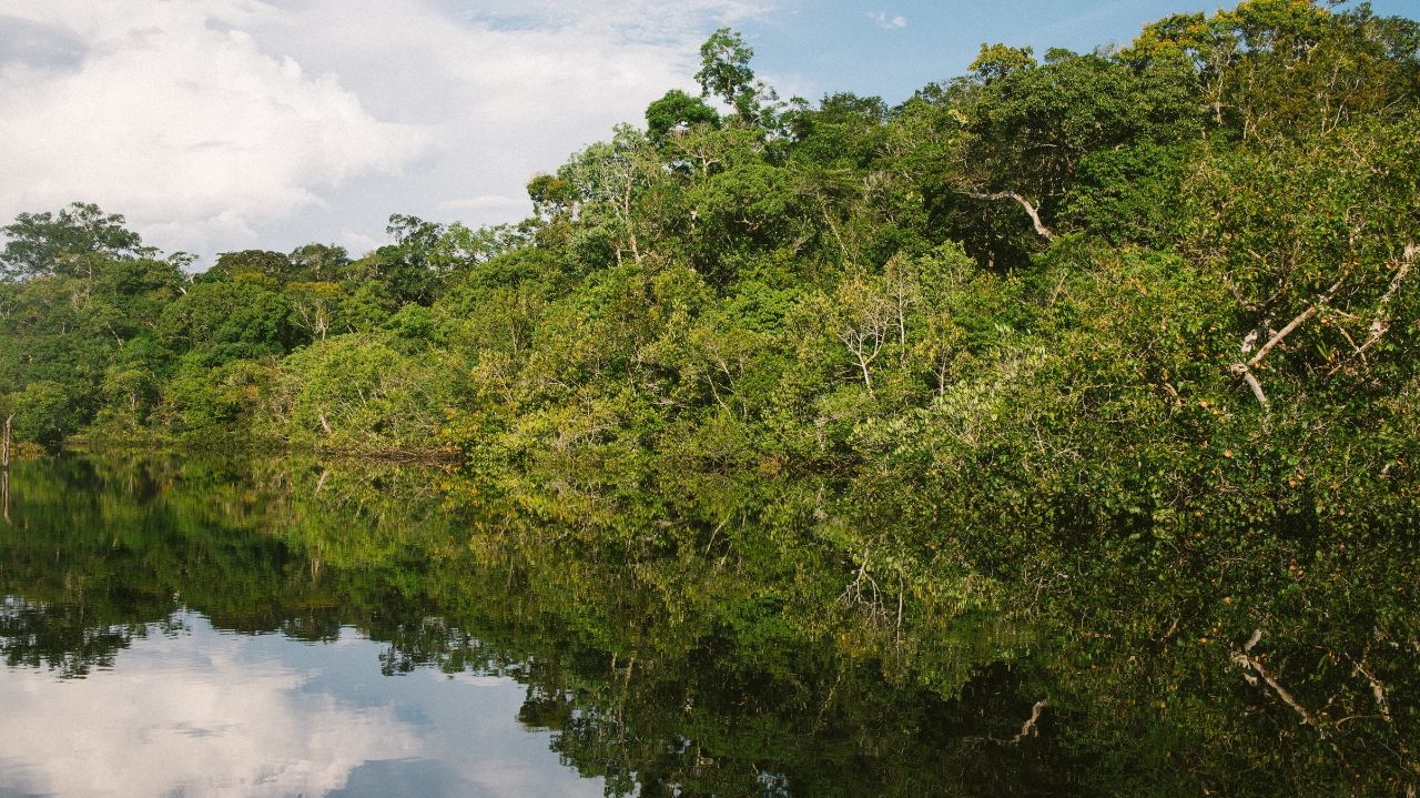 Desmatamento cai na Amazônia, mas cresce no Cerrado Lorena Bueri