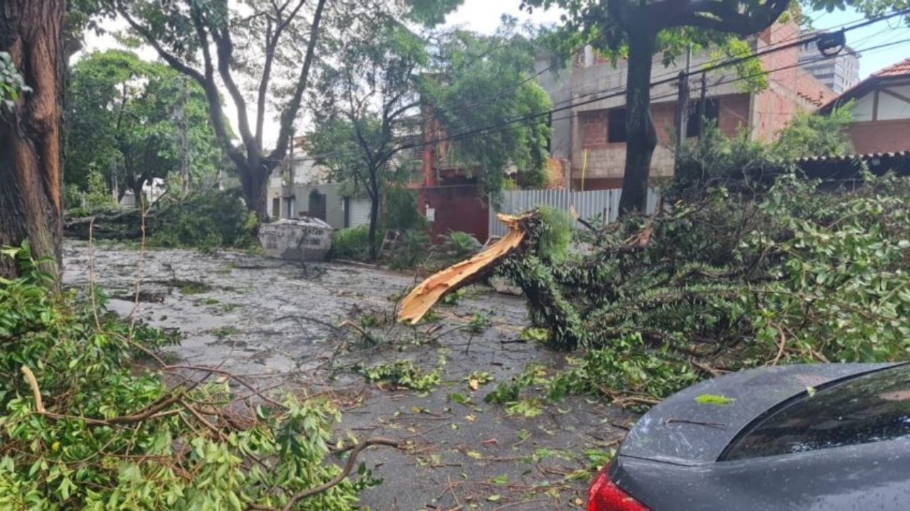 São Paulo: chuva derruba 200 árvores e causa queda de energia Lorena Bueri