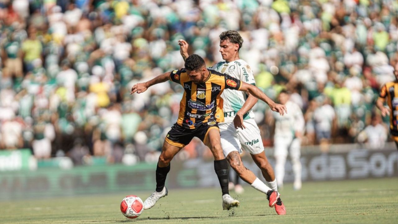 Novorizontino empata com Palmeiras na estreia do Campeonato Paulista Lorena Bueri