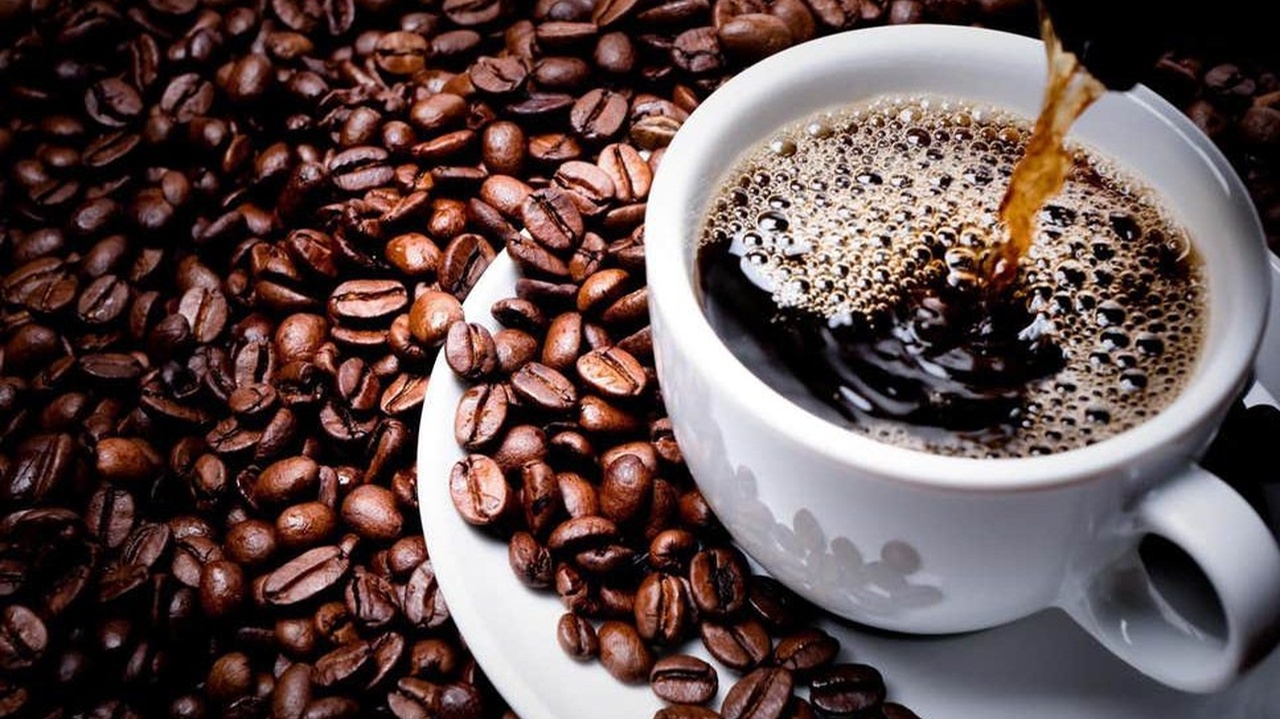Conheça os benefícios da abstinência da cafeína no corpo Lorena Bueri