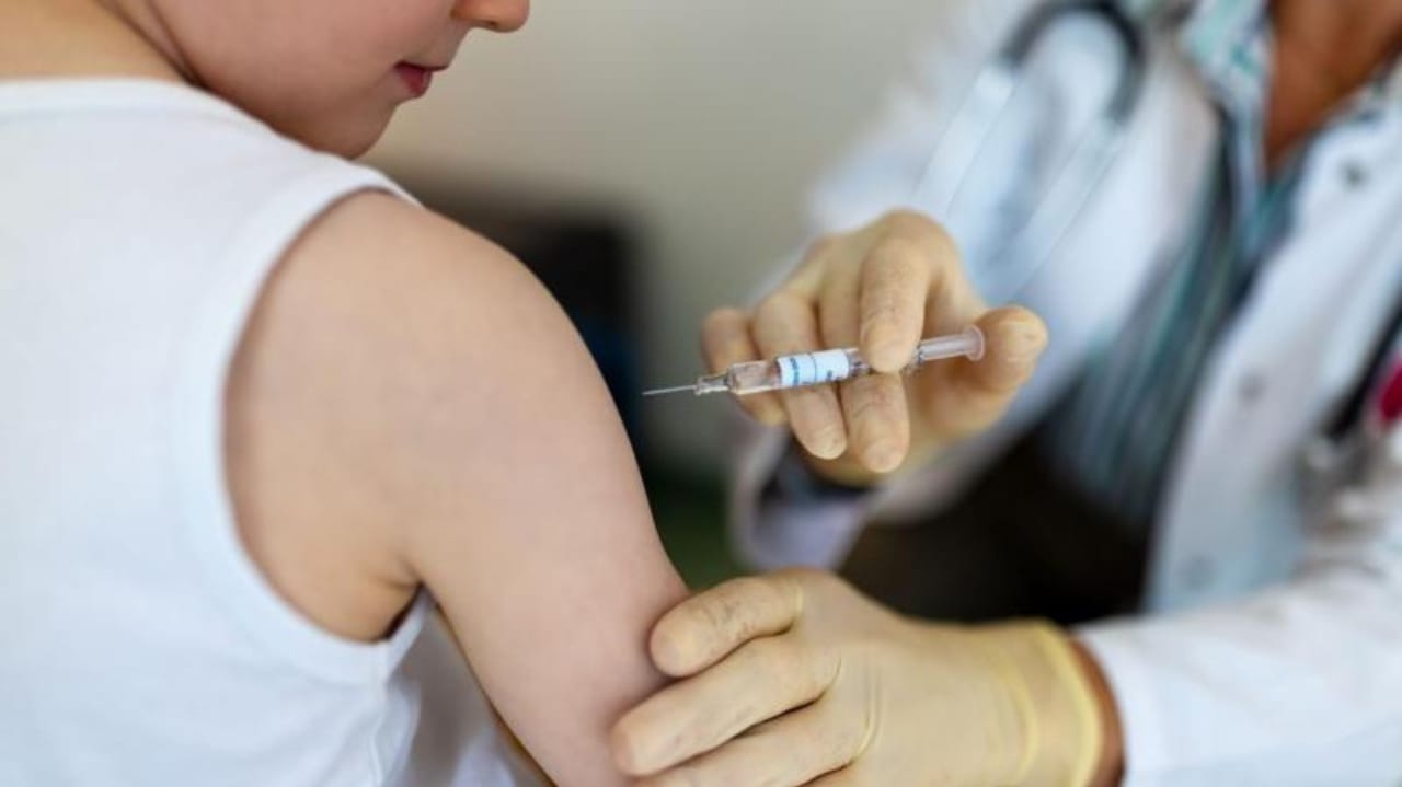 Vacina Qdenga: saiba quem pode tomar, eficácia e distribuição no Brasil Lorena Bueri