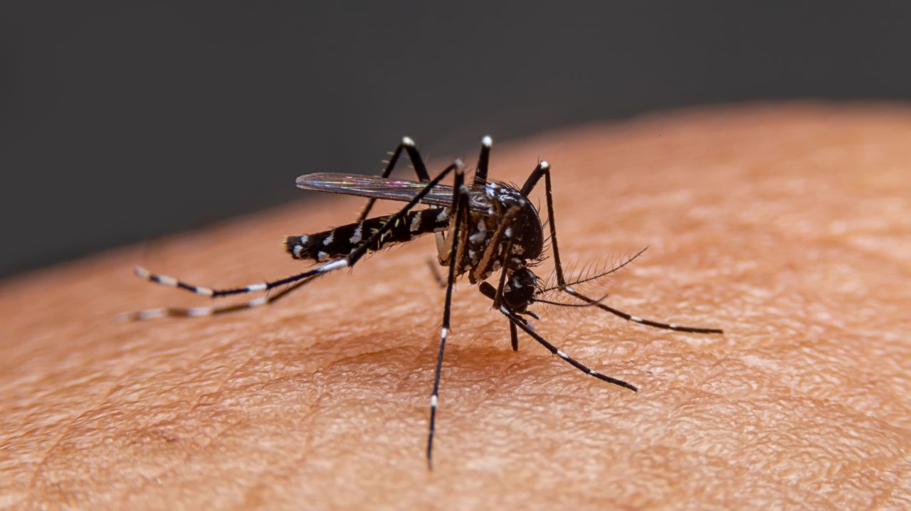 Profissionais de saúde alertam população sobre aumento de casos de dengue sorotipo 3 Lorena Bueri