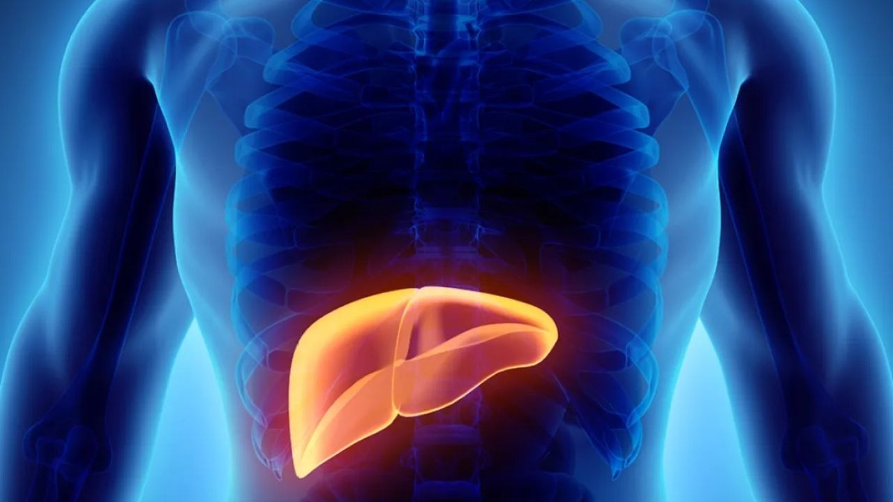 Gordura no fígado: entenda sintomas, causas e tratamento Lorena Bueri