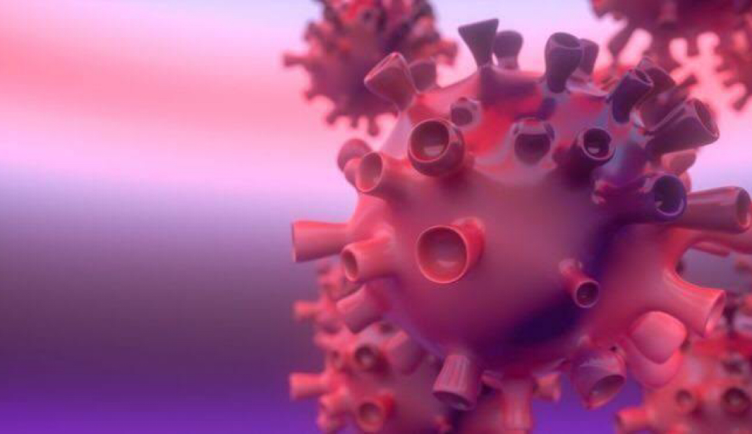 Coronavírus: assuntos destaques da semana 