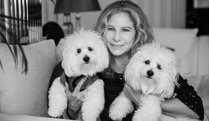 Conheça o álbum 'Release Me' da Barbra Streisand