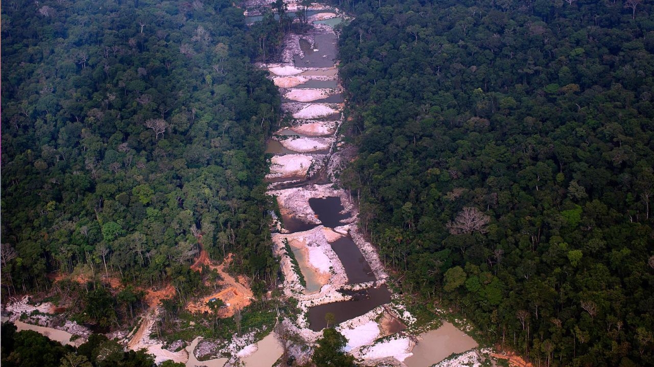 Menor índice de desmatamento na Amazônia em 6 anos é registrado em 2024 Lorena Bueri