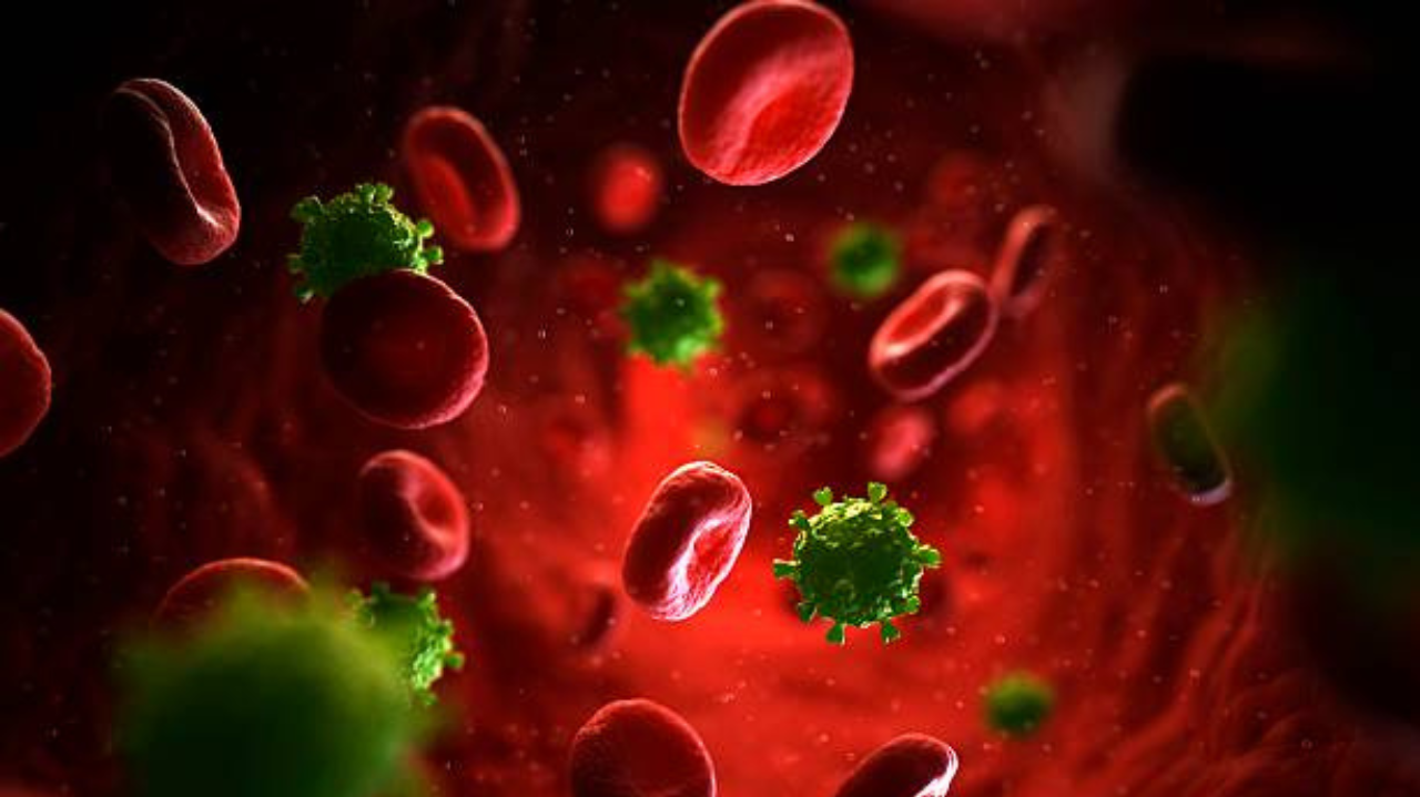 Cientistas eliminam o vírus HIV de células infectadas em pesquisa promissora para cura da AIDS Lorena Bueri