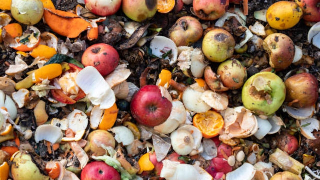 Mais de 1 bilhão de alimentos são desperdiçados por dia, segundo o relatório da ONU Lorena Bueri