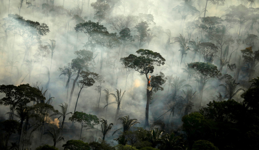 PrevisIA: Microsoft lança tecnologia capaz de prever incêndios e desmatamento na Amazônia Lorena Bueri