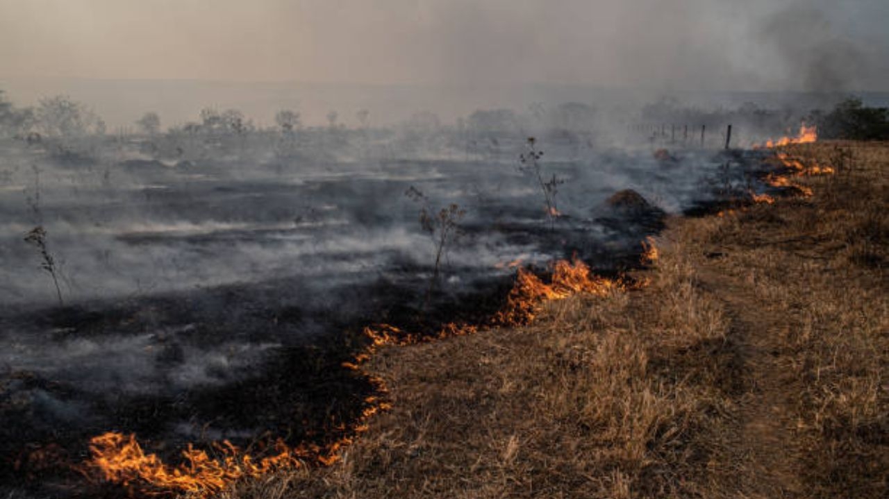 Crise ambiental em MT: em março o estado registrou o maior número de queimadas do país Lorena Bueri