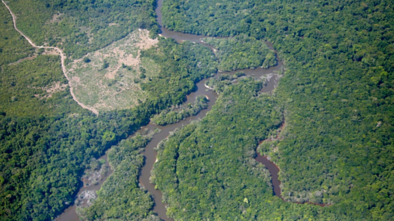 Brasil anuncia investimento de R$ 730 milhões para frear desmatamento na Amazônia Lorena Bueri
