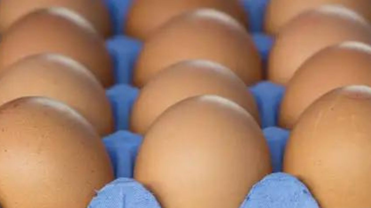 Saiba os benefícios do ovo para uma uma dieta balanceada, e sua relação com o colesterol Lorena Bueri