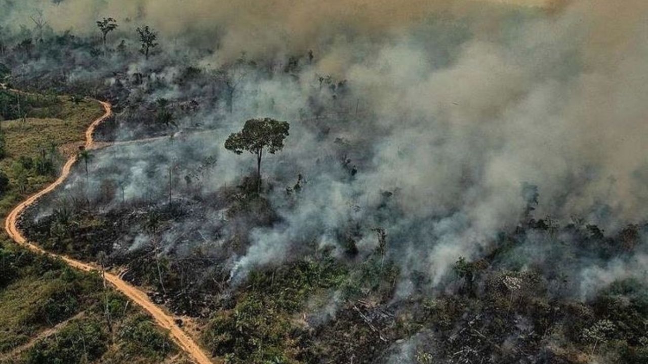 Brasil tem aumento do número de queimadas em 2024 e bate record Lorena Bueri