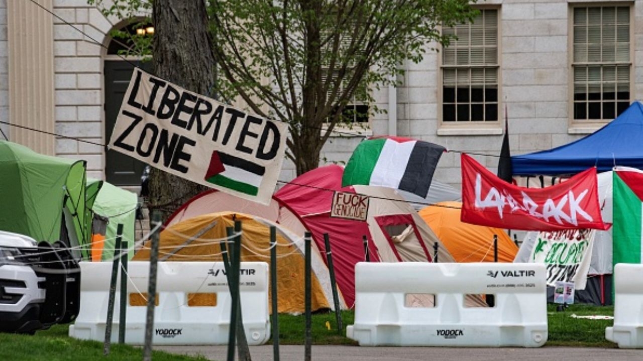 Acampamento pró-palestina: Harvard ameaça suspender manifestantes Lorena Bueri