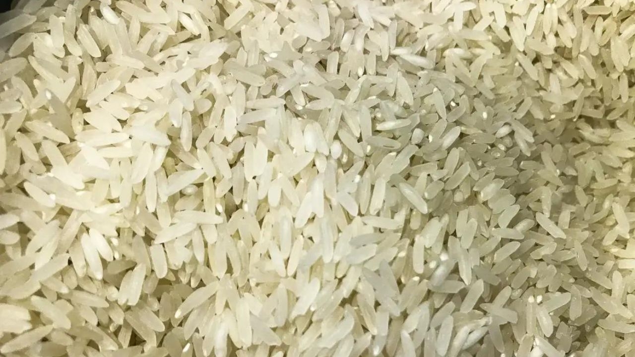 Governo Federal adota subsídios para importação de arroz  Lorena Bueri