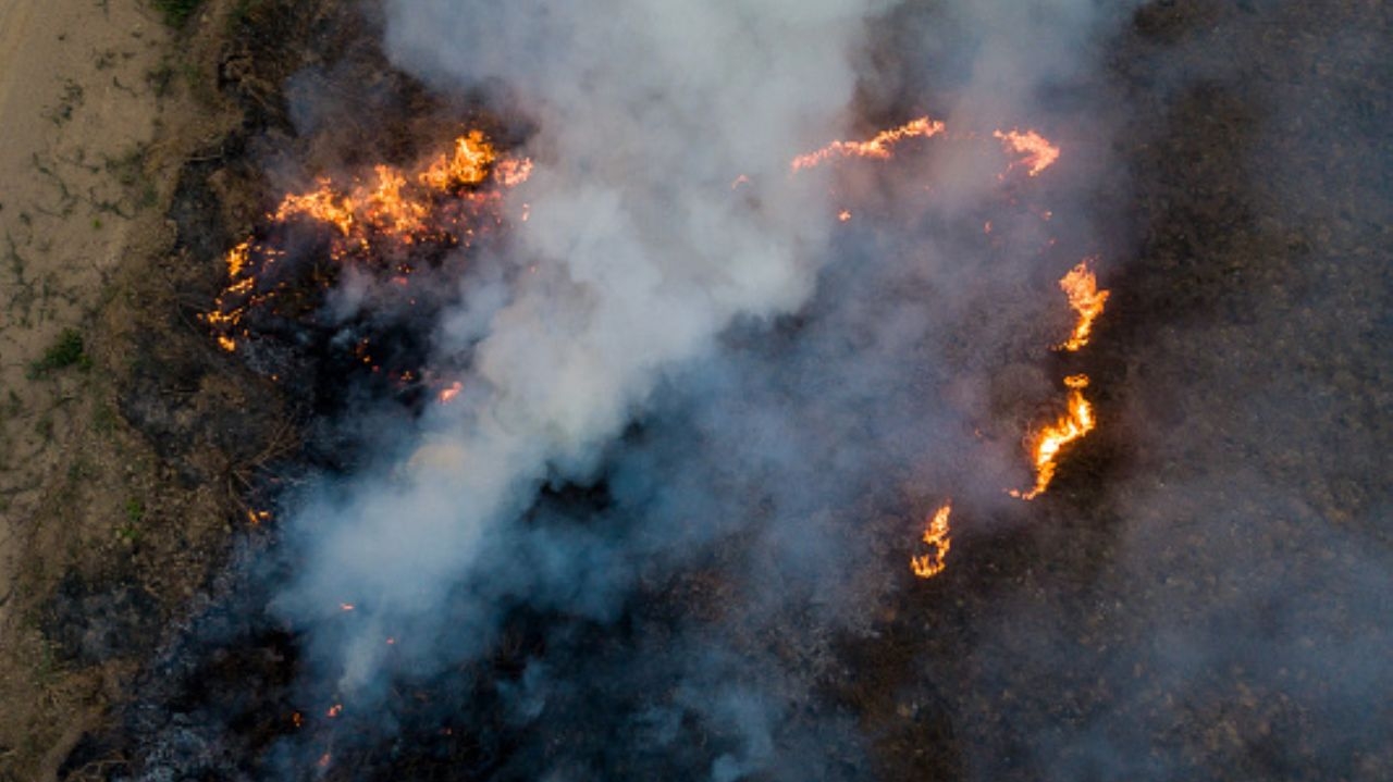 Focos de incêndio no Pantanal espalham fumaça pelo Mato Grosso do Sul Lorena Bueri