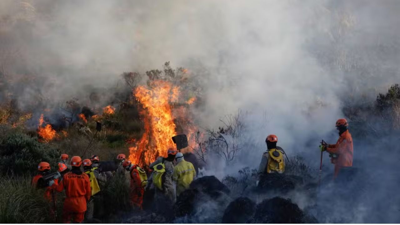 Mata Atlântica: aumento de incêndios liga o alerta vermelho Lorena Bueri