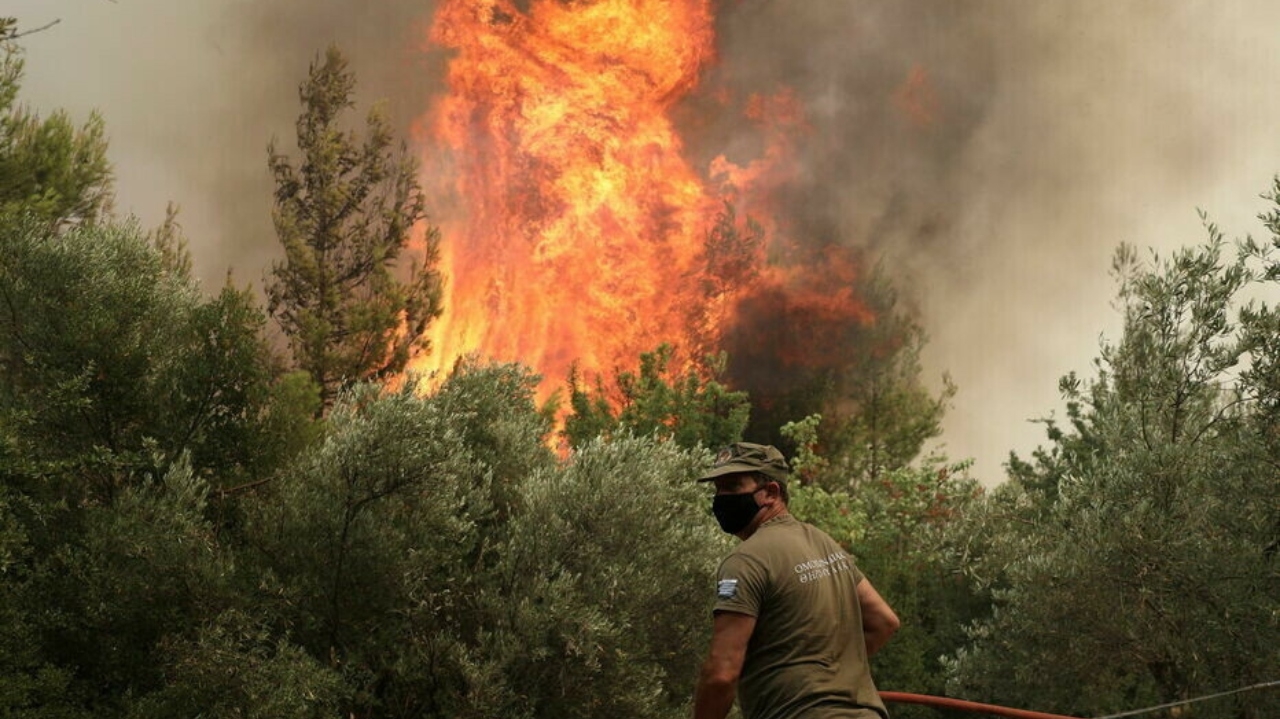 Após incêndio em floresta na Grécia, 13 pessoas suspeitas foram presas Lorena Bueri