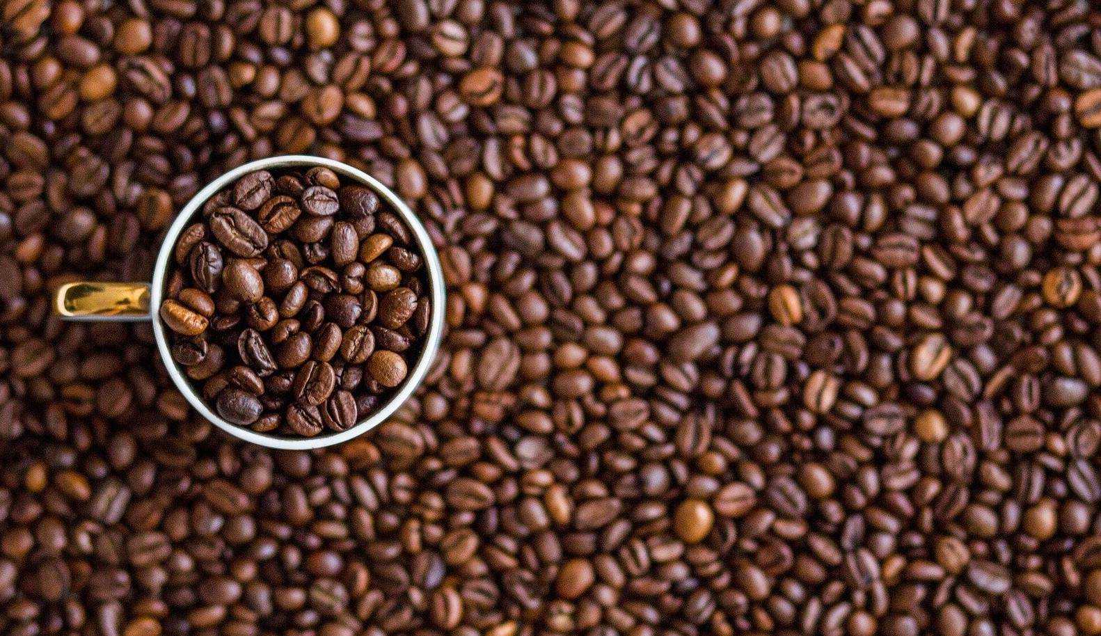 Café pode ficar até 40% mais caro em setembro, segundo análise Lorena Bueri
