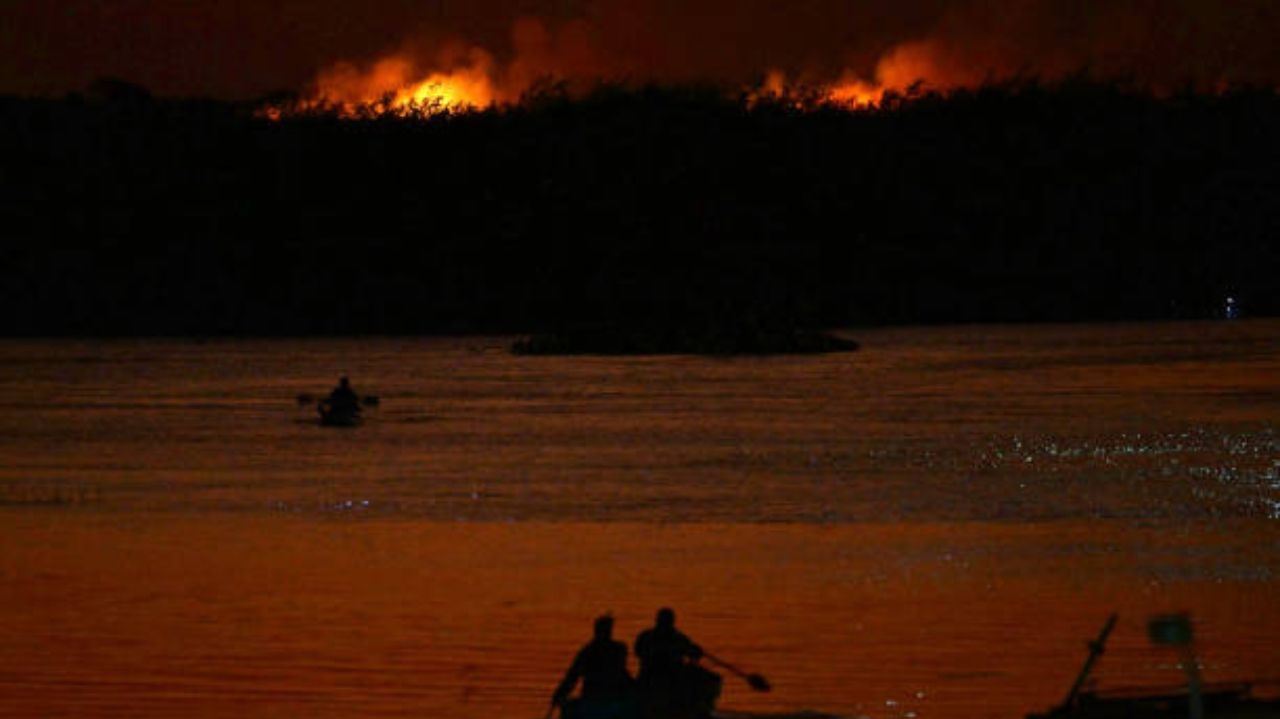 PF cria gabinete para investigar incêndios no Pantanal do MS Lorena Bueri