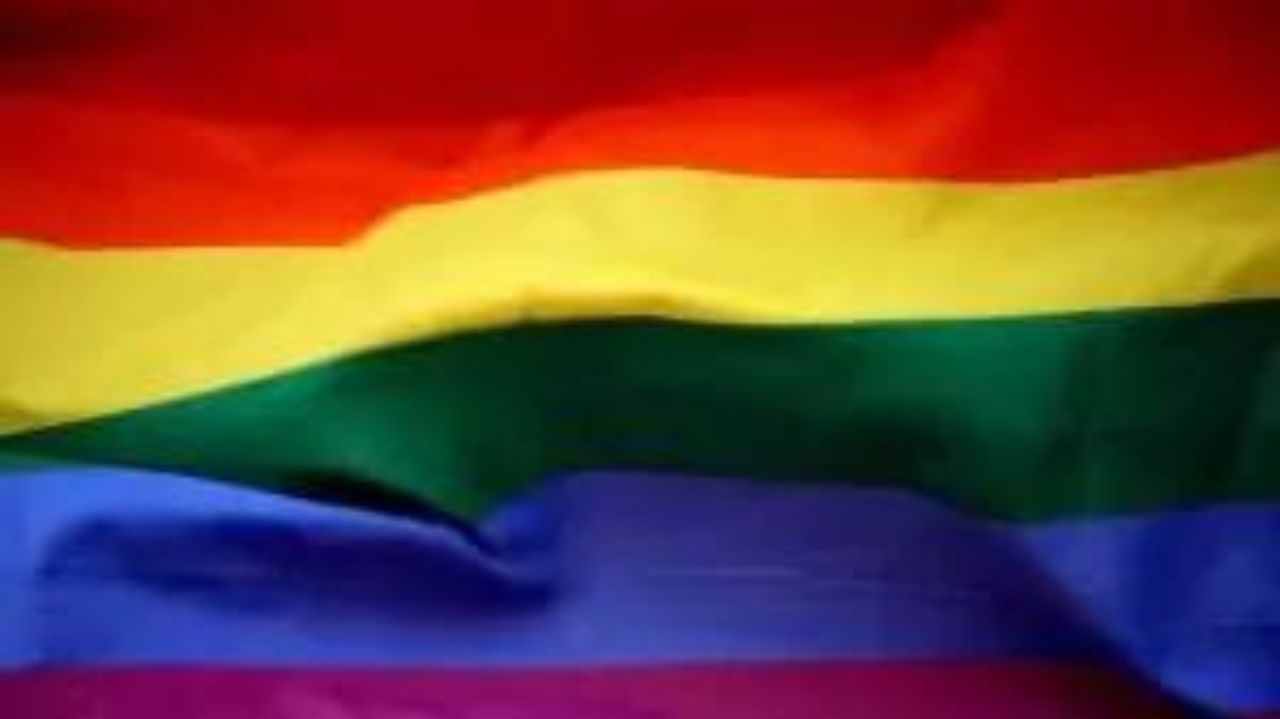 Saiba o significado de LGBTQIAPN+ e motivos de mudanças ao longo dos anos Lorena Bueri