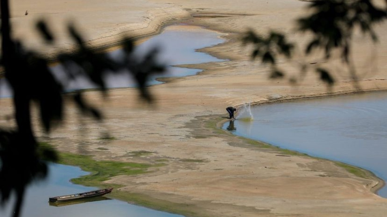 Situação de seca é declarada em 20 municípios do Amazonas Lorena Bueri