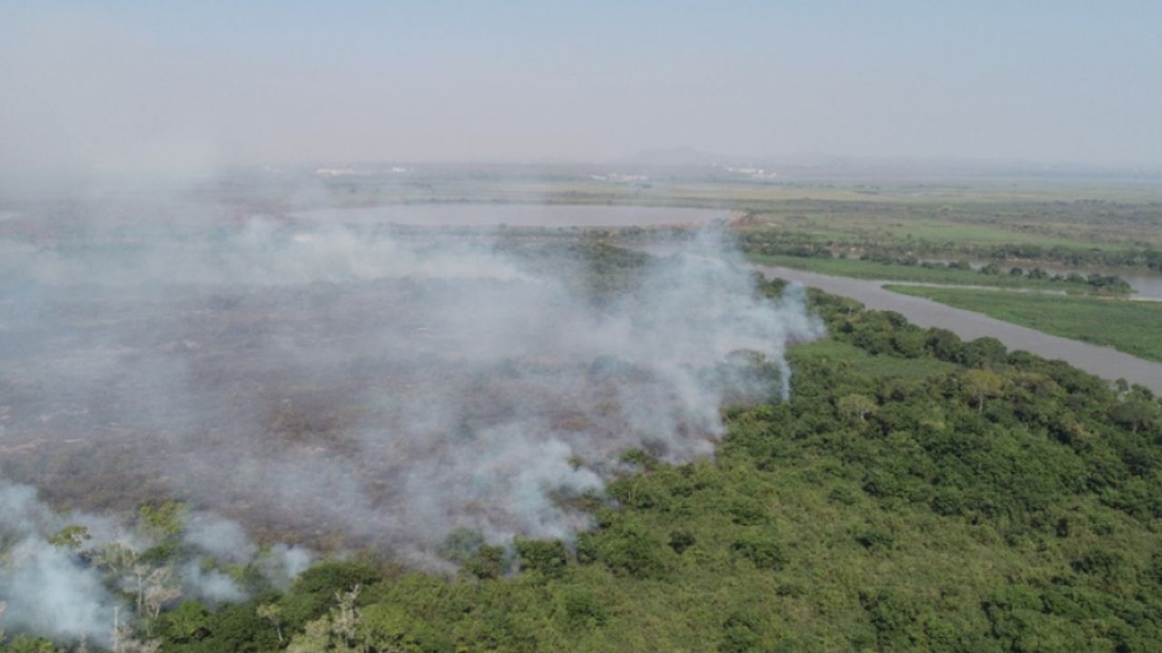 Chuvas auxiliam nos focos de incêndio no Pantanal Lorena Bueri