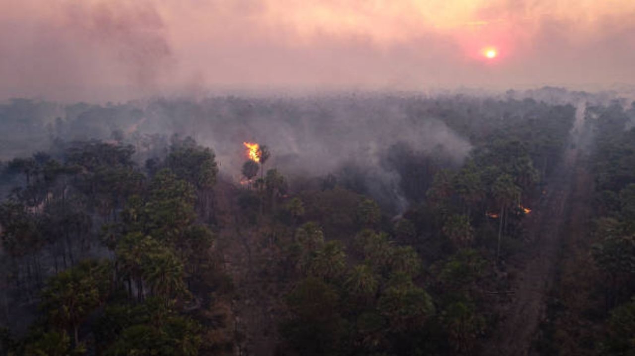 Pantanal volta a ter incêndios de grandes proporções Lorena Bueri