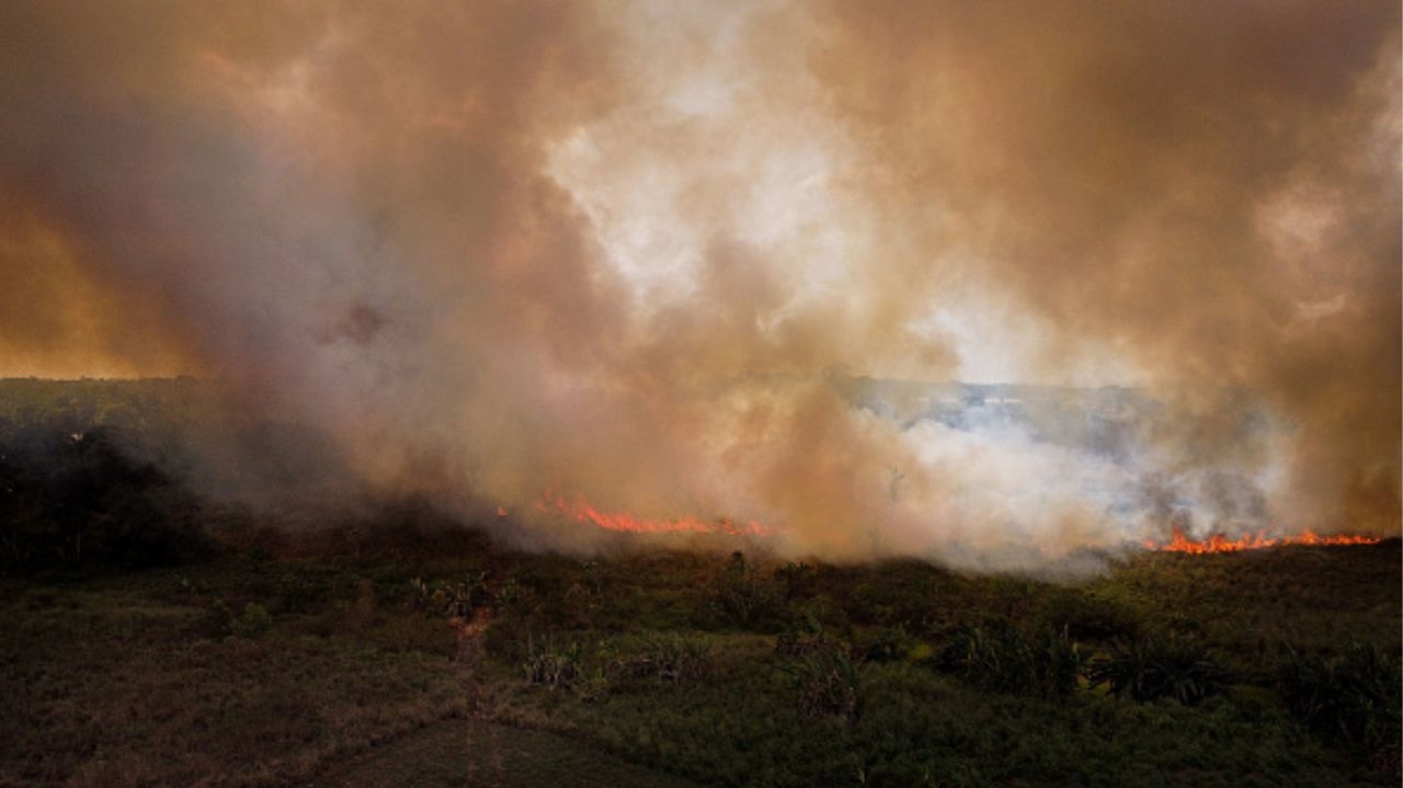 Amazonas registra recorde histórico de queimadas em julho de 2024 Lorena Bueri