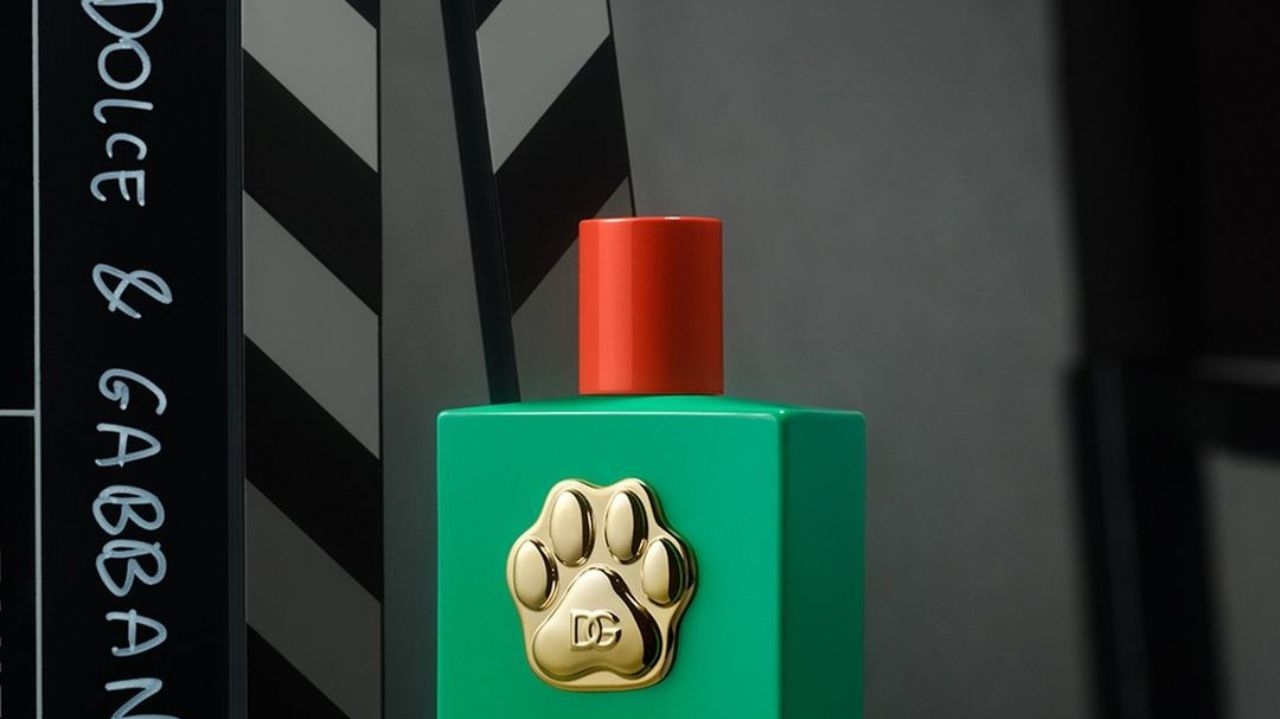 Dolce & Gabbana lança fragrância de luxo para Pets Lorena Bueri