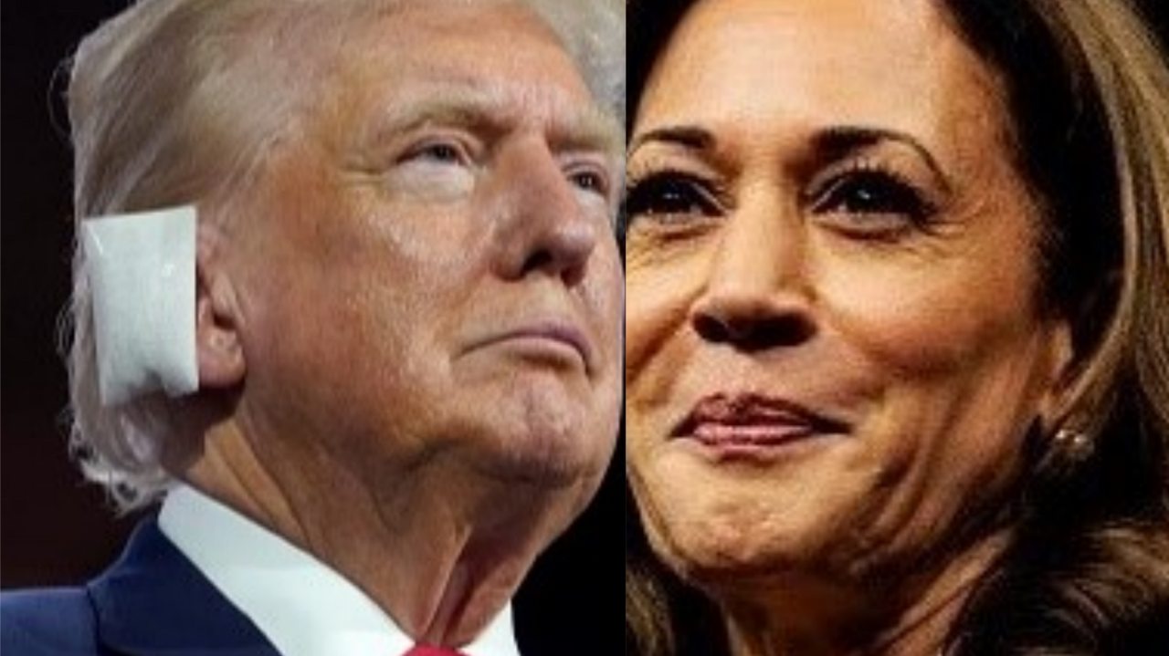 Primeiro debate entre Trump e Kamala Harris ocorrerá em setembro Lorena Bueri