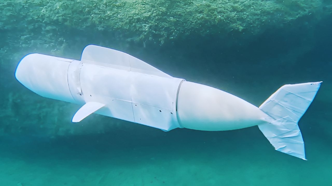 Peixe robô promete revolucionar na pesquisa dos oceanos Lorena Bueri