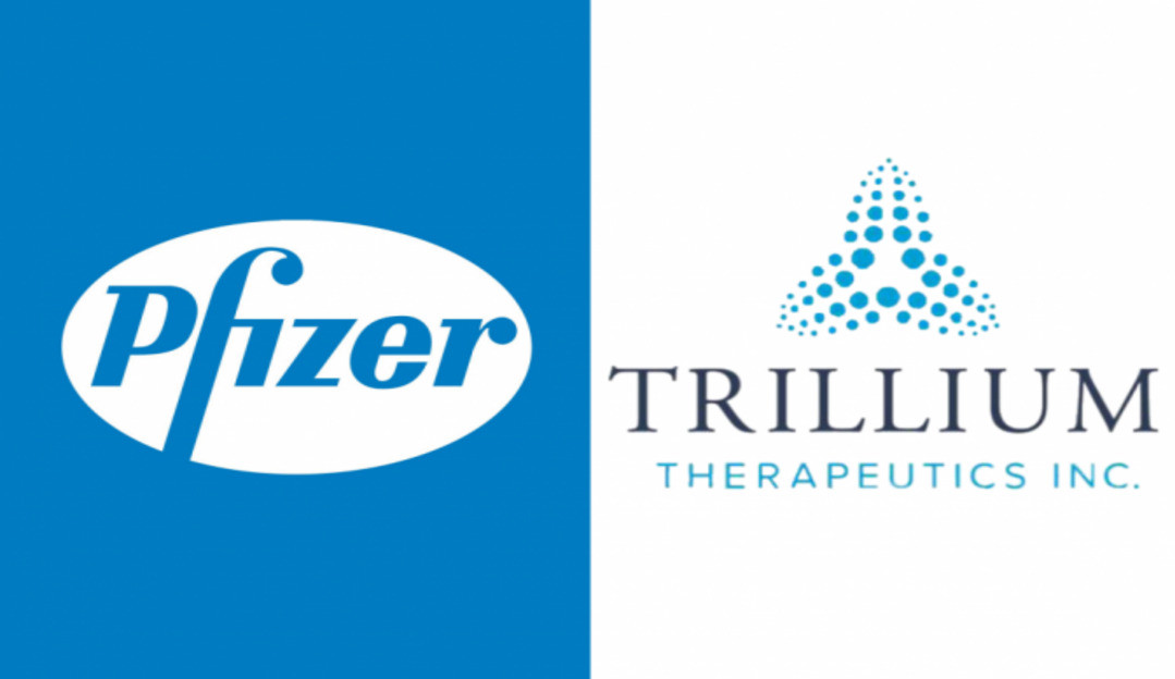 Pfizer compra a Trillium, empresa especializada em tratamentos contra o câncer