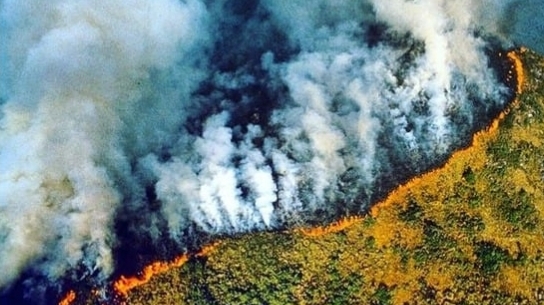 Amazônia está com o maior foco de incêndio dos últimos 17 anos Lorena Bueri