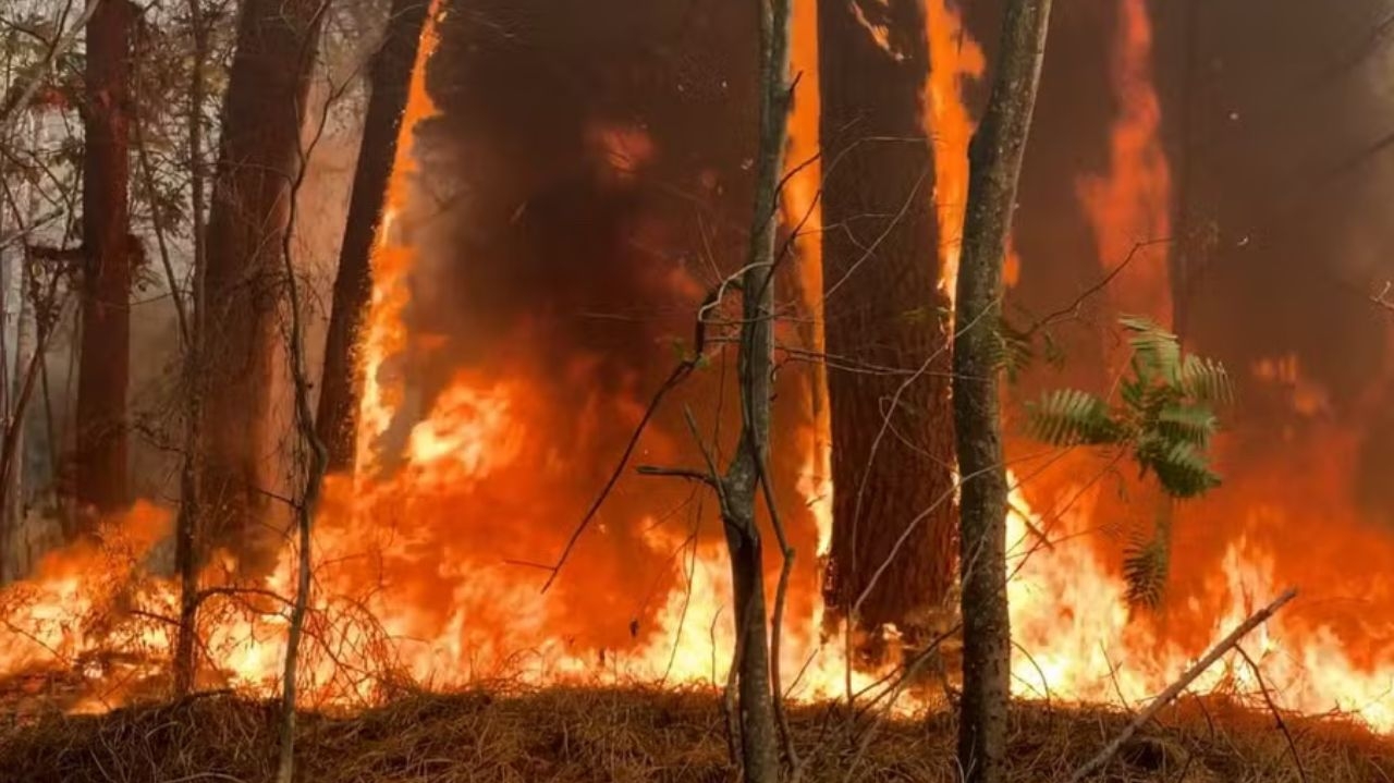 Ibama quer contratar aviões contra incêndio Lorena Bueri