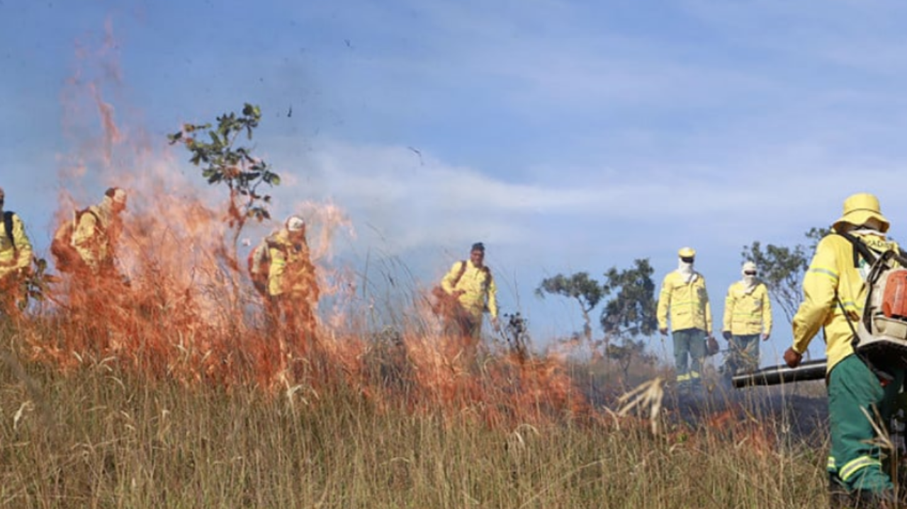 Incêndio em ponto turístico do Tocantins força evacuação imediata de visitantes Lorena Bueri