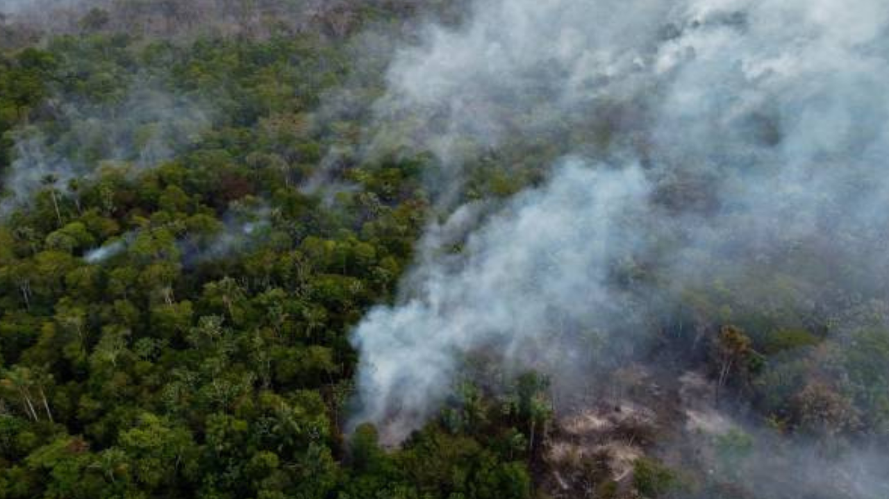 Abertura de reservatório do Amazonas pode causar 'nova pandemia', diz pesquisador Lorena Bueri