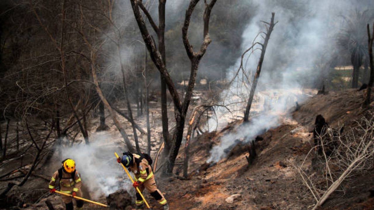 Incêndios na Amazônia crescem 132% em agosto de 2024, aponta relatório Lorena Bueri