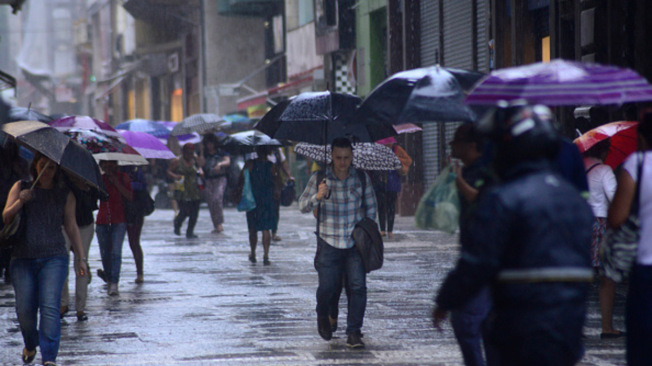 Chuva derrubou árvores e deixou 50 mil imóveis sem energia em São Paulo Lorena Bueri