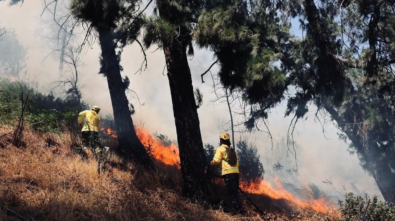 Chile emite alerta vermelho em cinco municípios devido a incêndios florestais Lorena Bueri