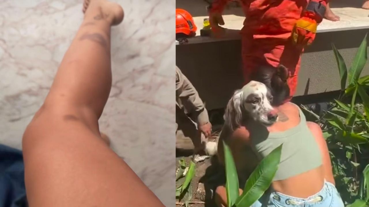 Anitta revela momento de aflição após o desaparecimento de seu cachorro Lorena Bueri